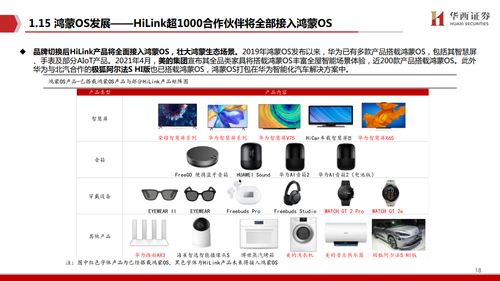 鴻蒙出鞘，劍指生態(tài) 華西證券視角下的計(jì)算機(jī)軟件研發(fā)新紀(jì)元